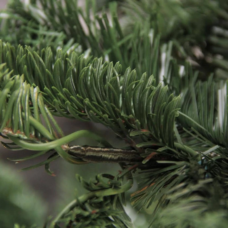 7.5ft. Unlit Layered Noble Fir Artificial Christmas Tree