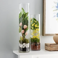 18" Clear Glass Cylinder Vase by Ashland®