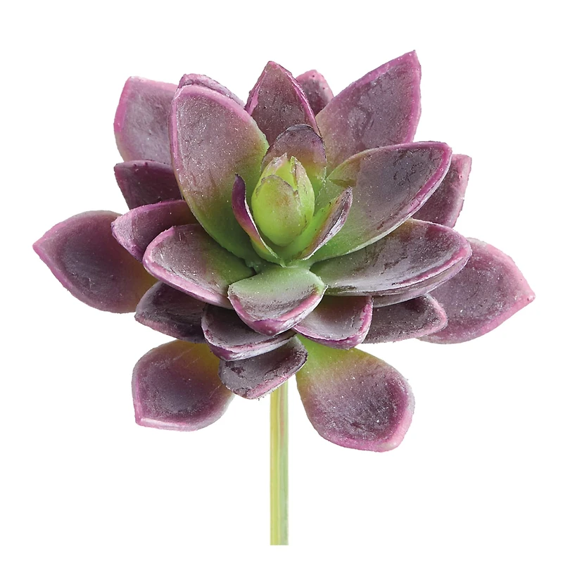 Soft Touch Purple & Green Mini Agave Pick 