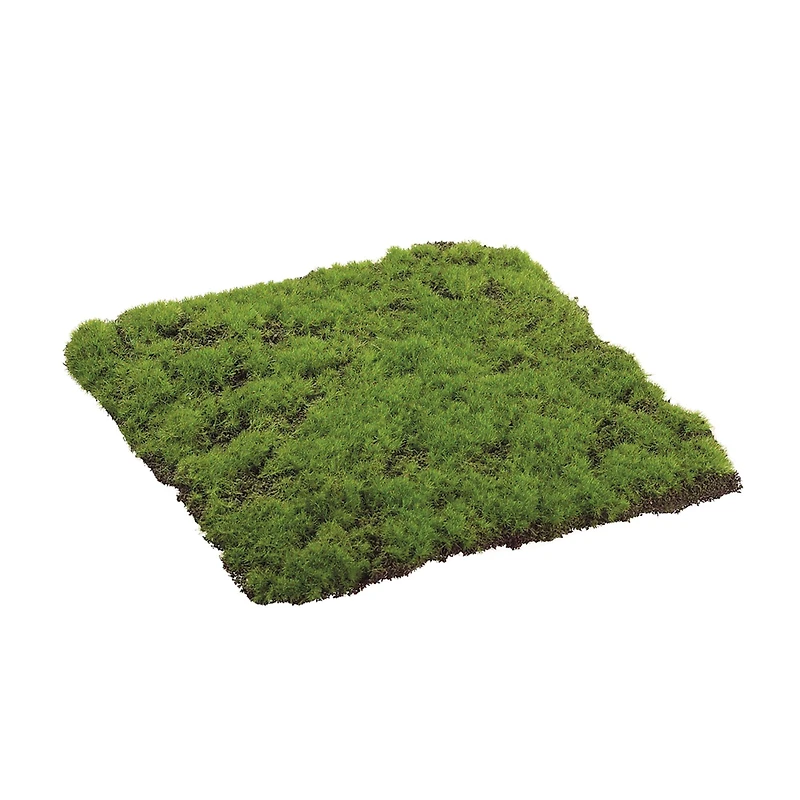 Square Moss Sheet, 12" x 12"