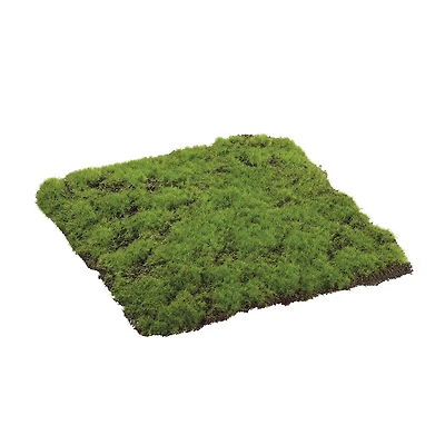 Square Moss Sheet, 12" x 12"