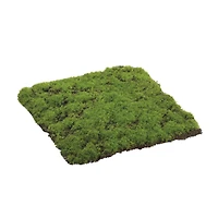 Square Moss Sheet, 12" x 12"