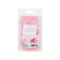 Spring Scented Wax Melts by Ashland