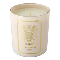 10oz. Scented Capricorn Jar Candle by Ashland®
