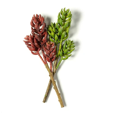 Assorted 11" 3 Head Succulent Pick by Ashland®, 1pc.