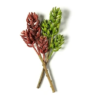 Assorted 11" 3 Head Succulent Pick by Ashland®, 1pc.