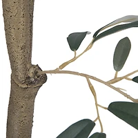 7ft. Potted Olive Tree