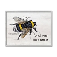 Stupell Industries Anatomy of Honey Bee Pun Gray Framed Wall Art