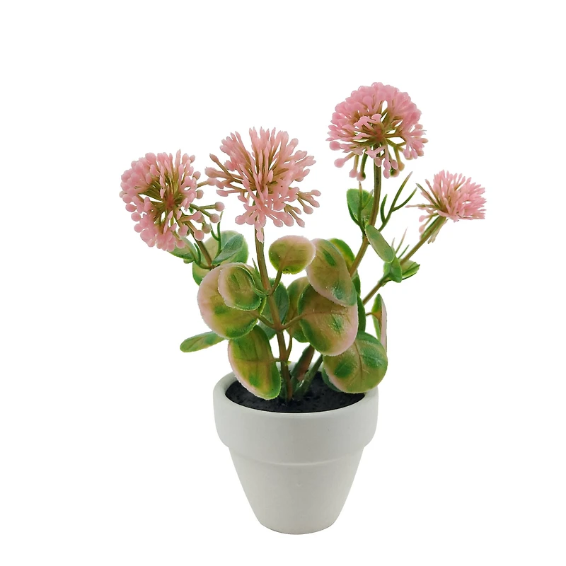 Assorted Micro Plant, 1pc. by Ashland®