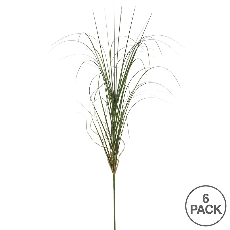 6 Pack: Green Curled Grass Spray