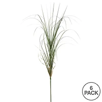 6 Pack: Green Curled Grass Spray