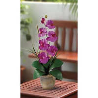 21" Moth Orchid Arrangement in Ceramic Pot