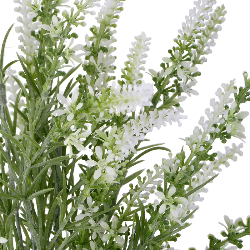 15" White Lavender Bush by Ashland®