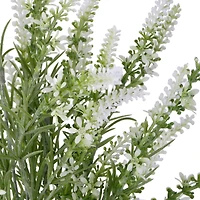 15" White Lavender Bush by Ashland®