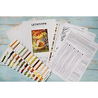 LetiStitch A Friend for Little Fox Counted Cross Stitch Kit