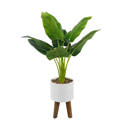 Flora Bunda® 2.5ft. Traveler's Palm in Roman Ceramic Pot on Stand