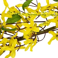 5ft. Yellow Forsythia & Berry Floral Spring Garland