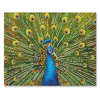 Peacock Diamond Art Kit by Make Market®