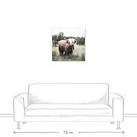 Shaggy Cow 24" x 24" Canvas Wall Art