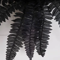 19in. Artificial Halloween Black Boston Fern - Set of 6