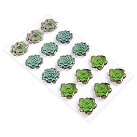 Succulent Stickers by Recollections™