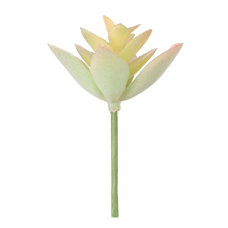 Succulent Mix by Ashland®