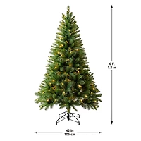 6ft. Pre-Lit Windham Spruce Artificial Christmas Tree, Warm White LED Lights by Ashland®