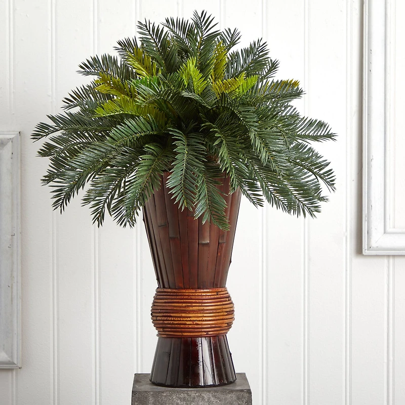 2.5ft Cycas Palm Tree in Bamboo Planter