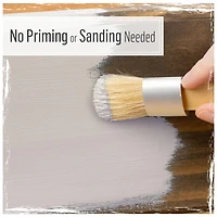 FolkArt® Home Decor™ White & Tan Chalk Paint with Brushes Kit