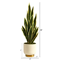 3ft. Snake Plant in Cream Planter with Gold Base