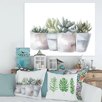 Designart - Cactus and Succulent House Plants III