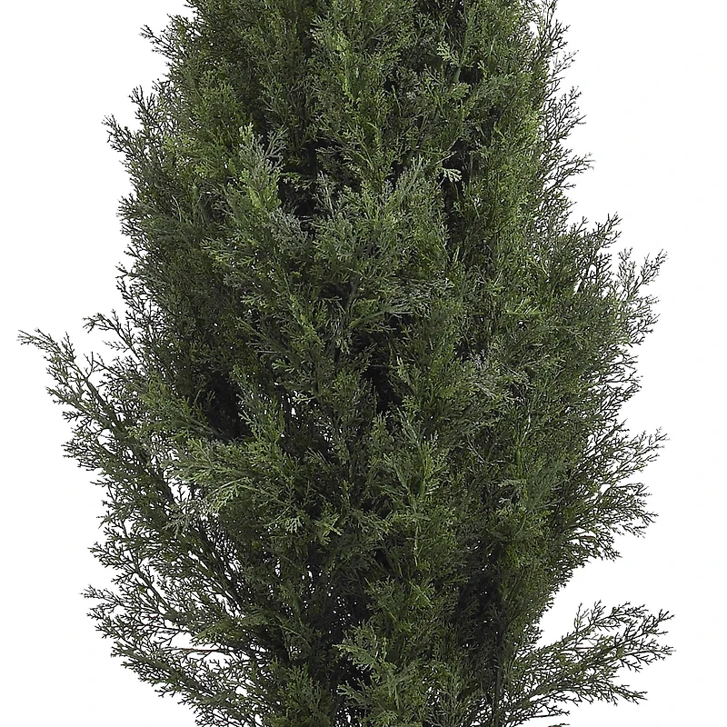 5ft. Cedar Pine Tree