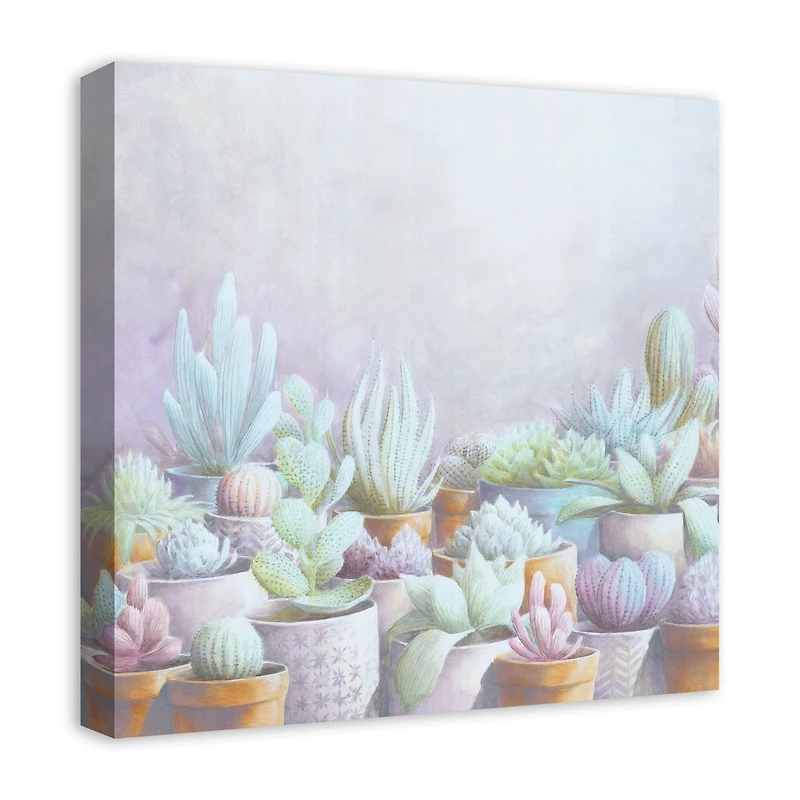 Cactus Pots 20" x 20" Canvas Wall Art