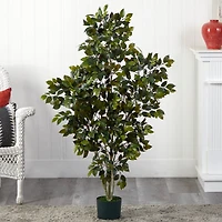4ft. Potted Ficus Tree
