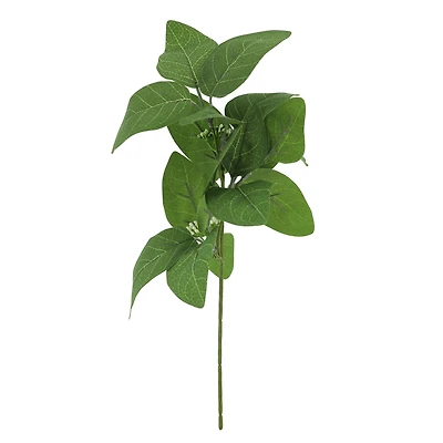 13" Long Eucalyptus Pick by Ashland®