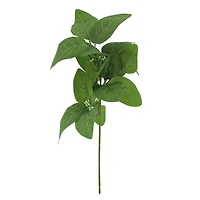 13" Long Eucalyptus Pick by Ashland®