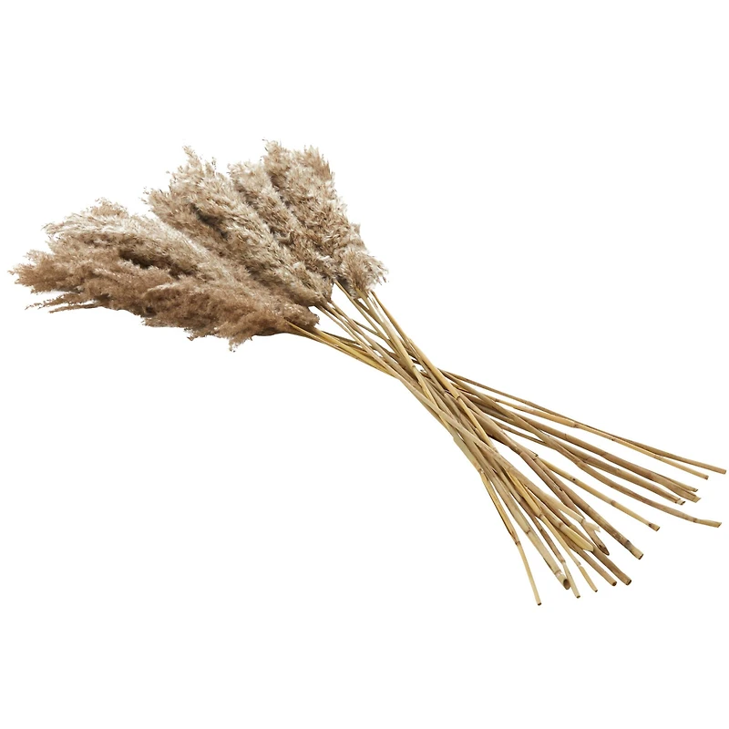 Dried Plant Pampas Natural Foliage with Long Stems