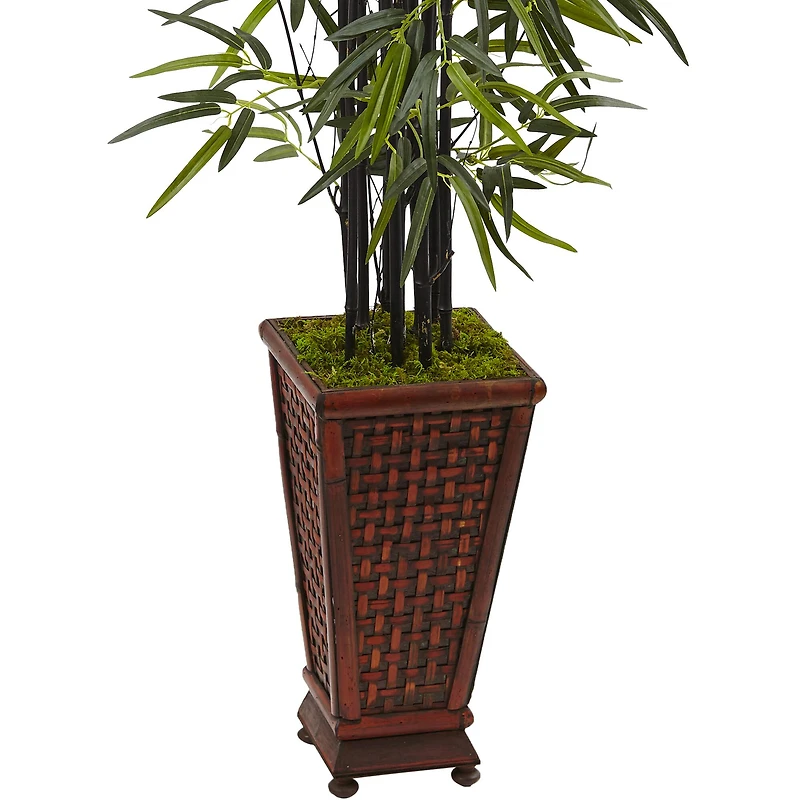 5.5ft. Black Bamboo Tree in Decorative Planter