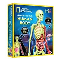 National Geographic™ Glow-in-the-Dark Human Body