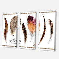 Designart - Exotic Vibrant Boho Feathers