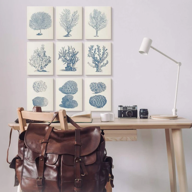 Stupell Industries Soft Blue Nautical Coral Illustrations over Beige,11' x 14"