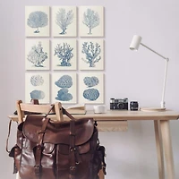 Stupell Industries Soft Blue Nautical Coral Illustrations over Beige,11' x 14"