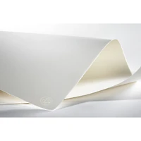 Hahnemühle Copperplate 22" x 30" White Paper, 100 Sheets