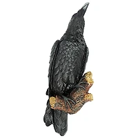 Design Toscano 18" The Raven's Perch Wall Sculpture Set