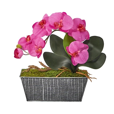 13" Phalaenopsis Orchid Artificial Arrangement in Embossed Tin Vase