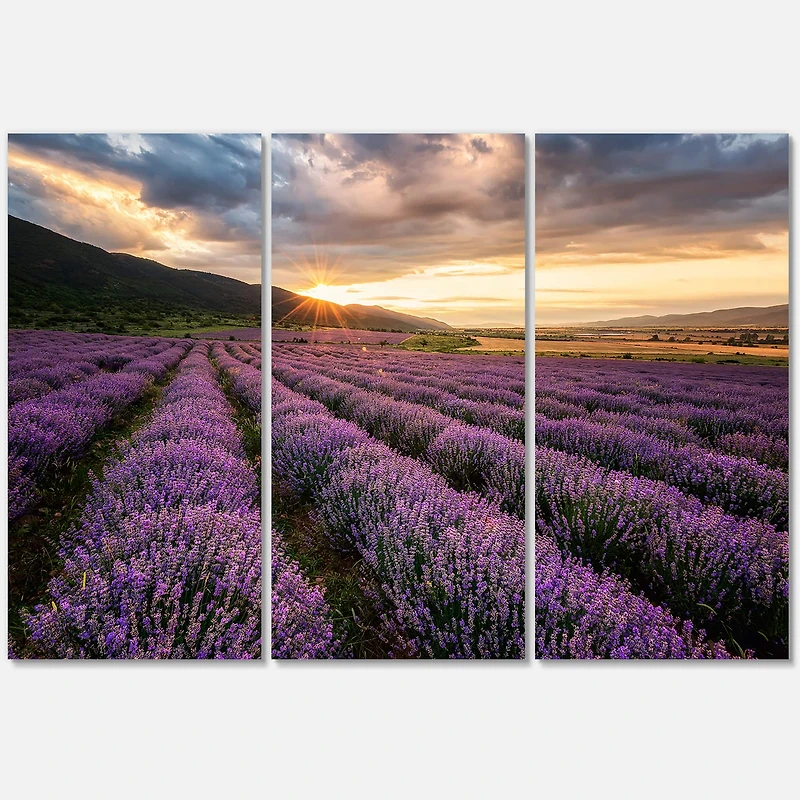 Designart - Sunrise & Dramatic Clouds Over Lavender Field VI