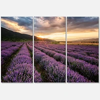 Designart - Sunrise & Dramatic Clouds Over Lavender Field VI