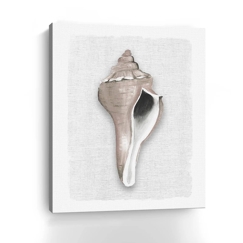 Sea Front Shell II Canvas Giclee