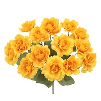 15" Wild Rose Bush by Ashland