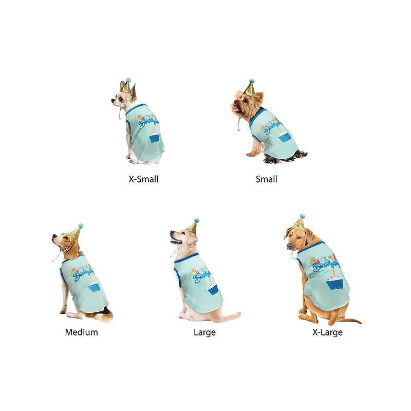 Best Furry Friends Birthday Boy Party Set